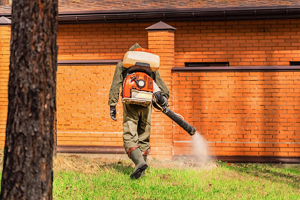 Trusted Mosquito Control service in Country Club Estates, GA - Nex Pest Control